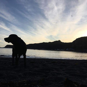 Meet your Posher, Dan